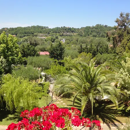 E Villamirella